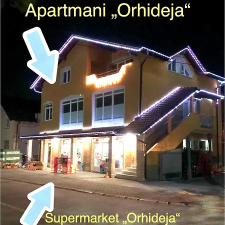 Orhideja